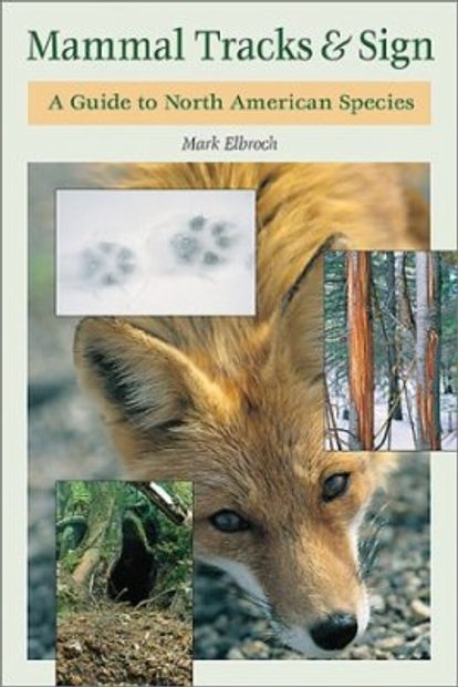 Mammal Tracks & Sign