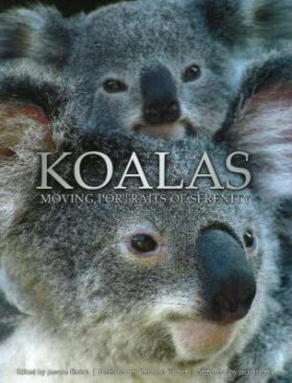 Koalas: Moving Portraits of Serenity | NHBS Academic