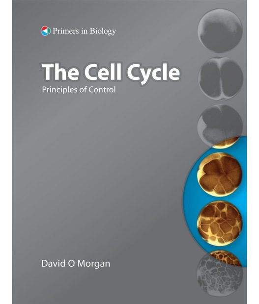 The Cell Cycle