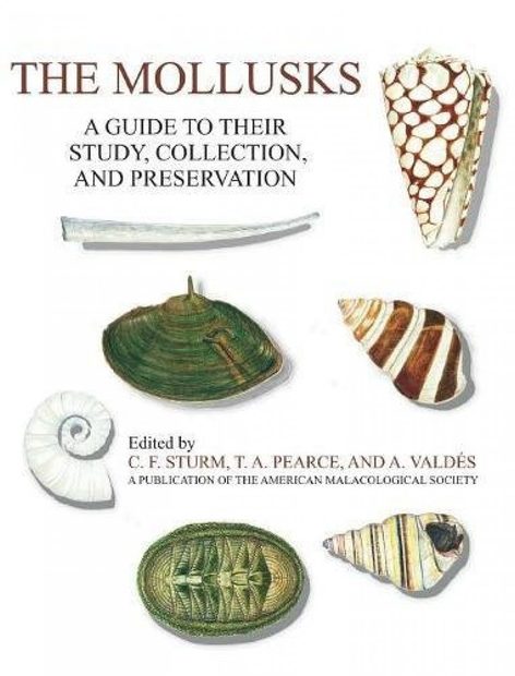 The Mollusks