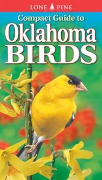 Compact Guide to Oklahoma Birds