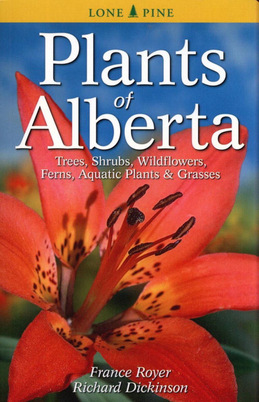 Plants Of Alberta Trees Shrubs Wildflowers Ferns