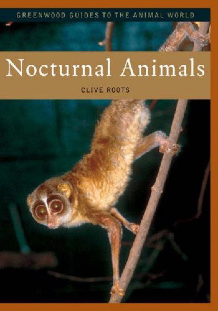 Nocturnal Animals Nhbs Academic Professional Books