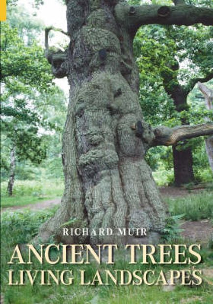 Ancient Trees, Living Landscapes