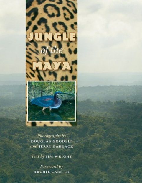 Jungle of the Maya