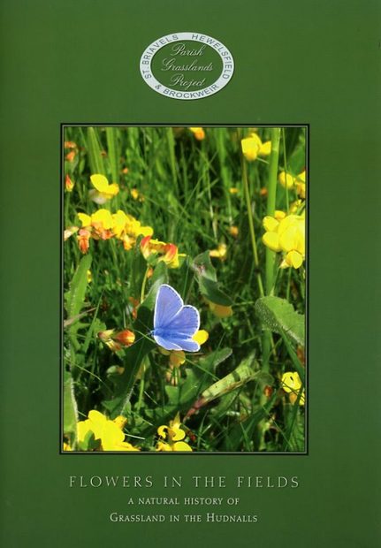 Flowers in the Fields