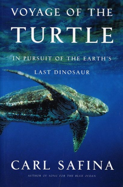 Voyage of the Turtle