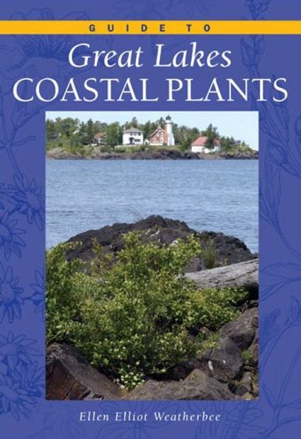Guide to Great Lakes Coastal Plants