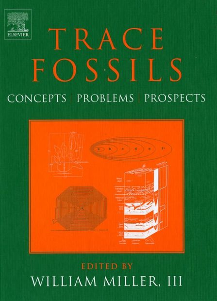 Trace Fossils