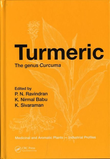 Turmeric