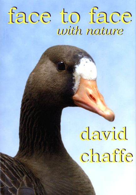 Face to Face With Nature