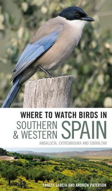 Where to Watch Birds in Southern & Western Spain