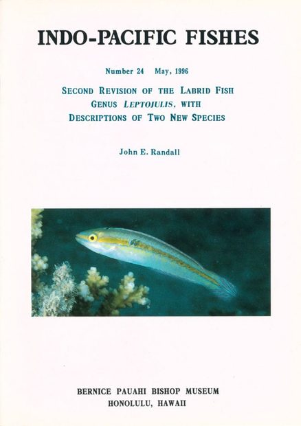 Second Revision of the Labrid Fish Genus Leptojulis, with Descriptions of Two New Species