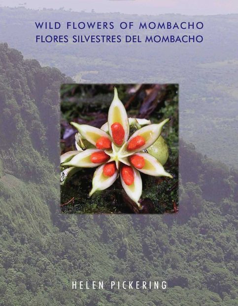 Wild Flowers of Mombacho Nicaragua / Flores Silvestres del Mombacho