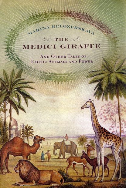 The Medici Giraffe