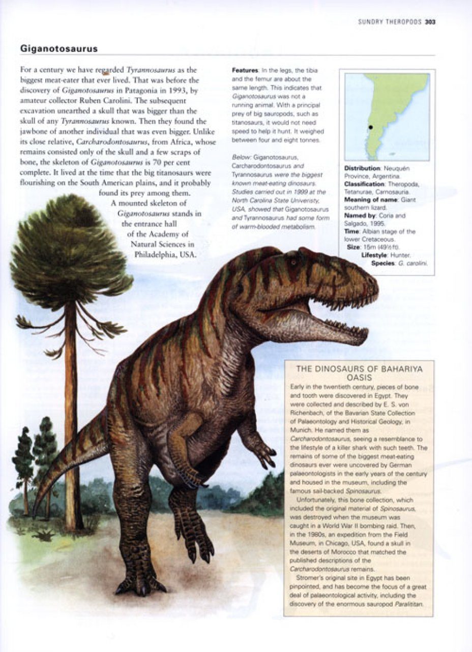Our World in Pictures Dinosaurs and Other Prehistoric Creatures