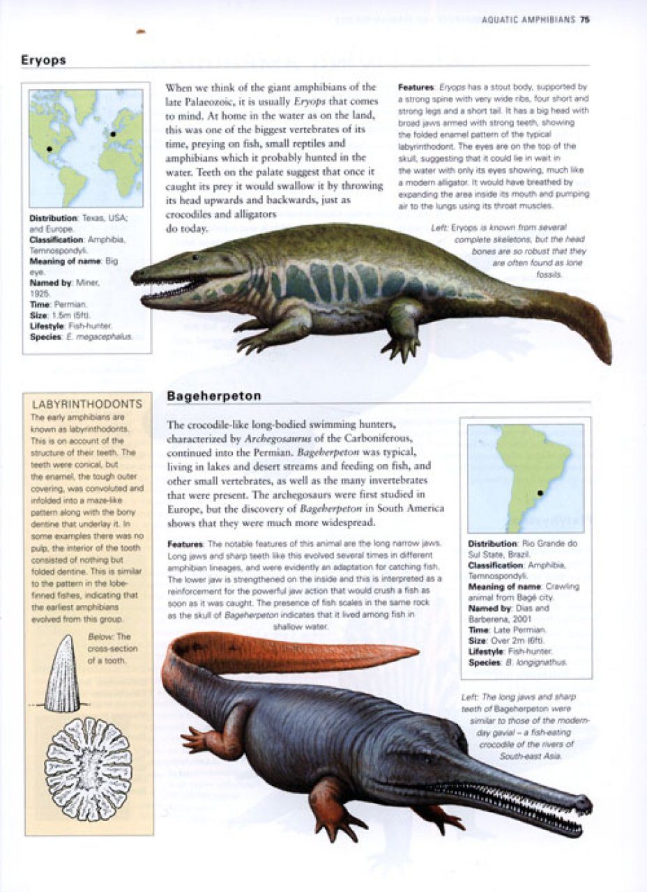 The World Encyclopedia of Dinosaurs & Prehistoric Creatures | NHBS Academic  & Professional Books