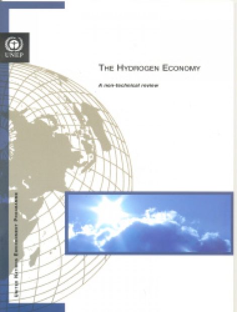 The Hydrogen Economy