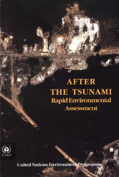 After the Tsunami