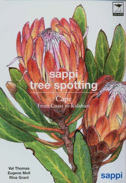 Sappi Tree Spotting: Cape