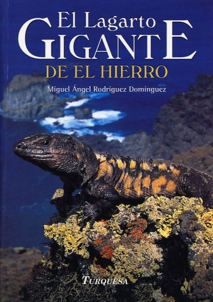 El Lagarto Gigante de el Hierro [The Hierro Giant Lizard]