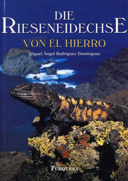 Die Rieseneidechse von El Hierro [The Hierro Giant Lizard]