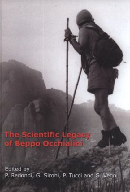 The Scientific Legacy of Beppo Occhialini