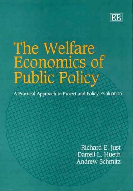 The Welfare Economics of Public Policy