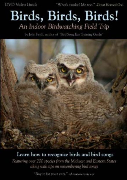 Birds, Birds, Birds!