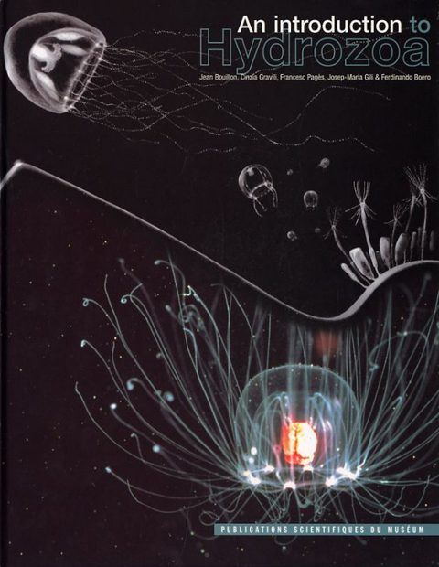 An Introduction to Hydrozoa
