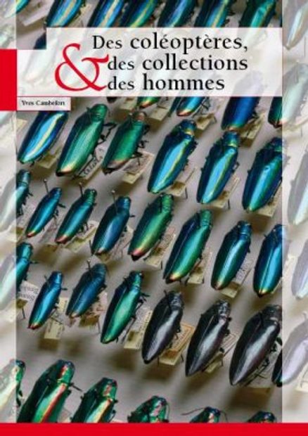 Des Coléoptères, des Collections et des Hommes