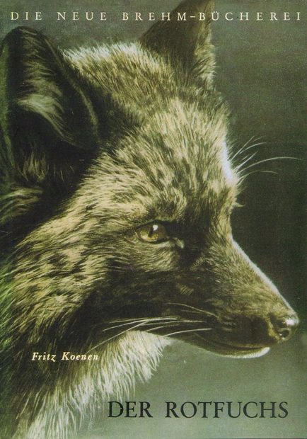 Der Rotfuchs [The Red Fox]