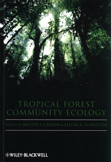 Tropical Forest Community Ecology
