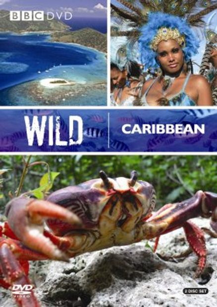 Wild Caribbean - DVD (Region 2 & 4)