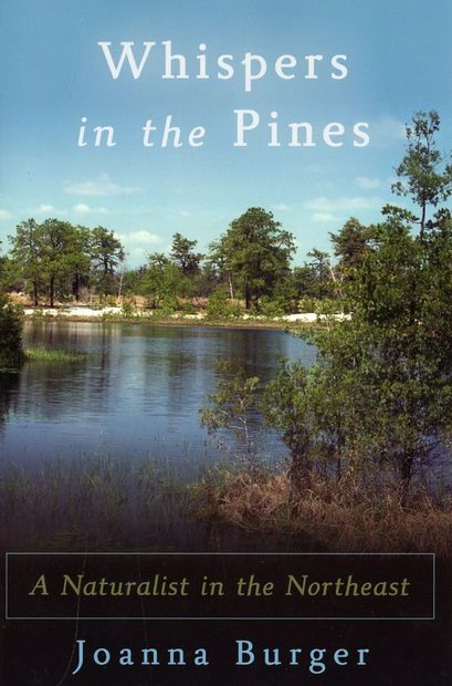 Whispers in the Pines