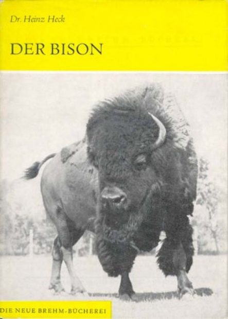 Der Bison [The Bison]