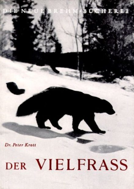 Der Vielfrass [The Wolverine]