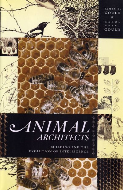 Animal Architects