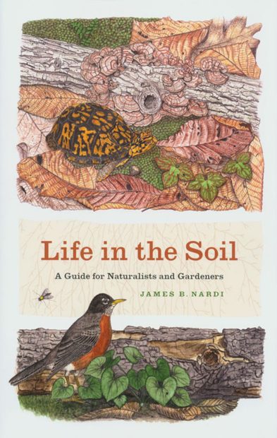 Life in the Soil