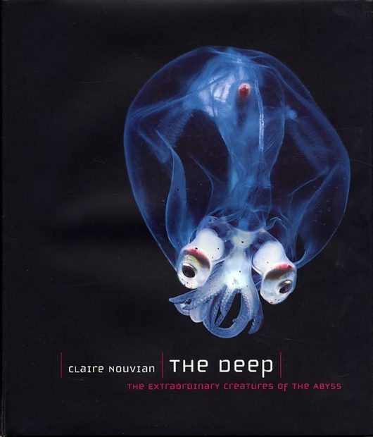The Deep
