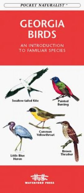 Georgia Birds
