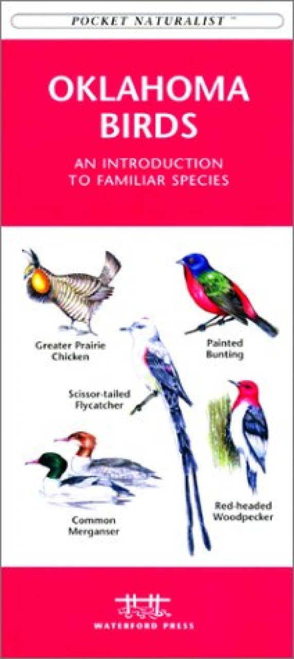 Introduction To Backyard Birds Of Oklahoma