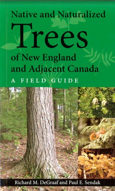 Native and Naturalized Trees of New England and Adjacent Canada
