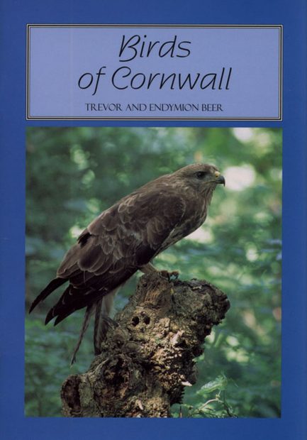 Birds of Cornwall