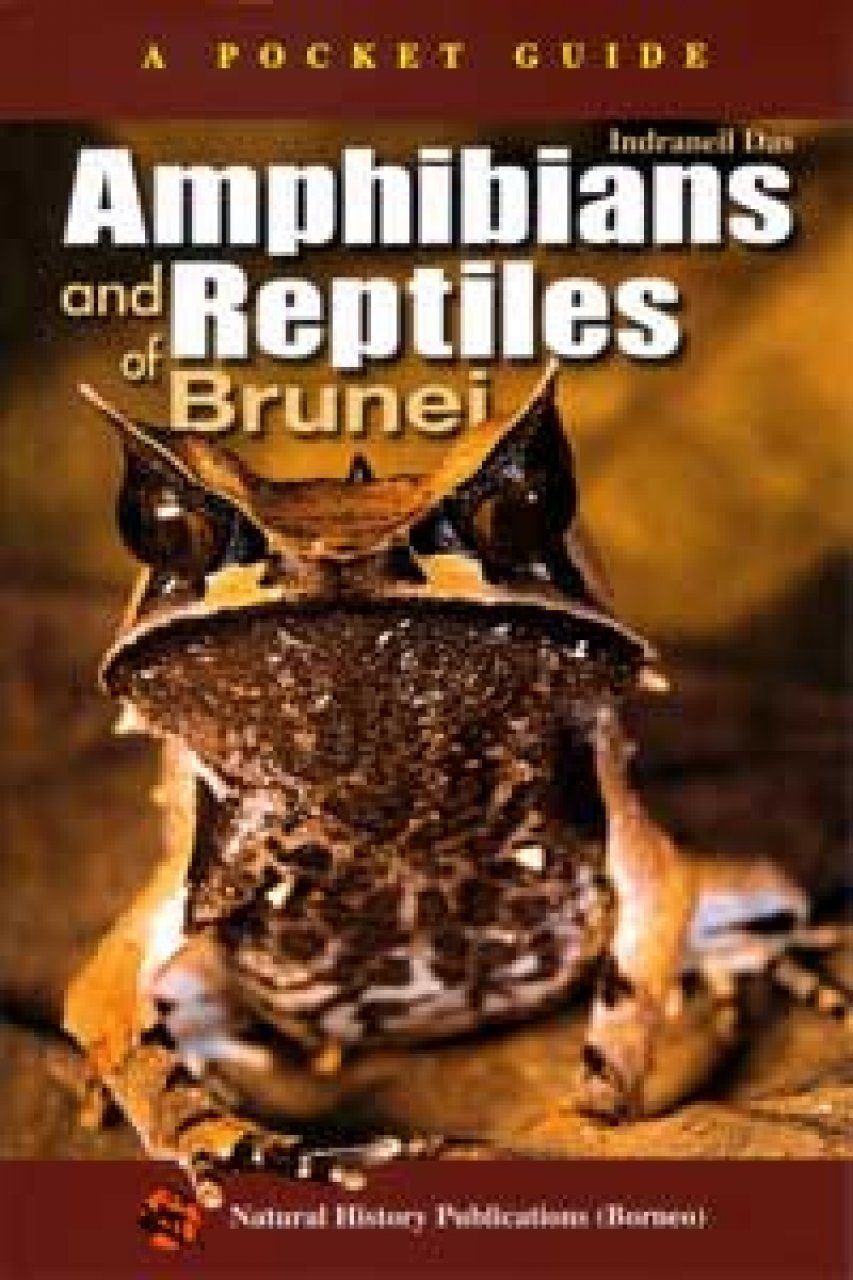 Amphibians And Reptiles Of Brunei A Pocket Guide Nhbs