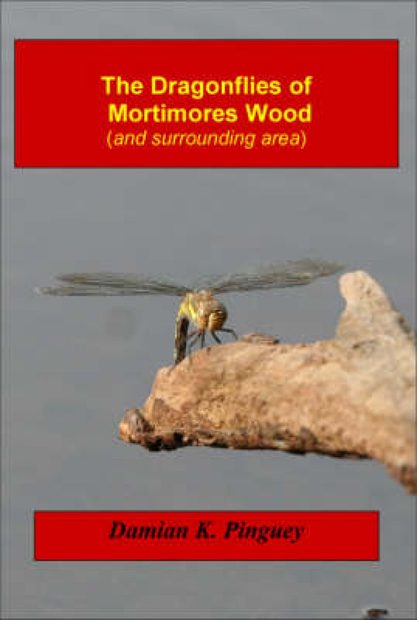 The Dragonflies of Mortimores Wood (and Surrounding Area)