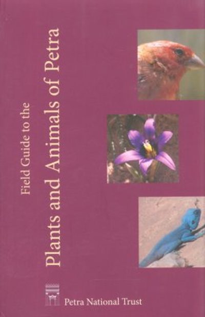Field Guide to the Plants and Animals of Petra