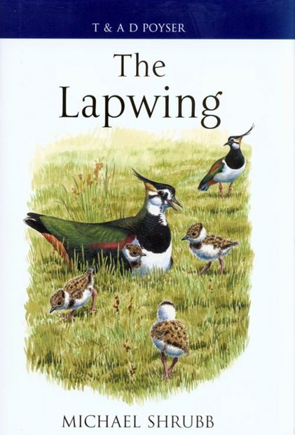 The Lapwing