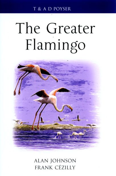 The Greater Flamingo