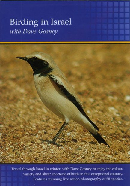 Birding in Israel (Region 2)